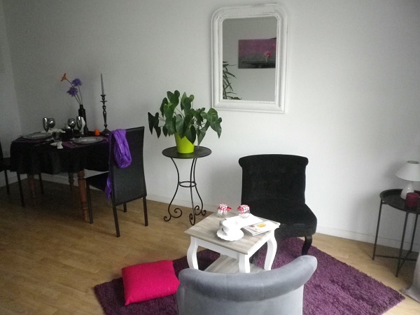Les Résidentiels de Tonnay-Charente : Logement témoin. Côté salon